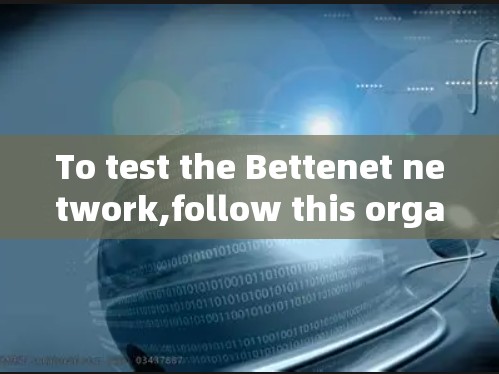 To test the Bettenet network,follow this organized approach: