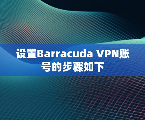 设置Barracuda VPN账号的步骤如下 设置Barracuda VPN账号的步骤如下