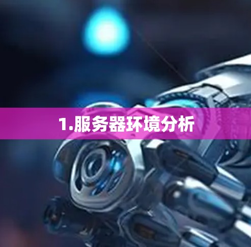 1.服务器环境分析 1.服务器环境分析