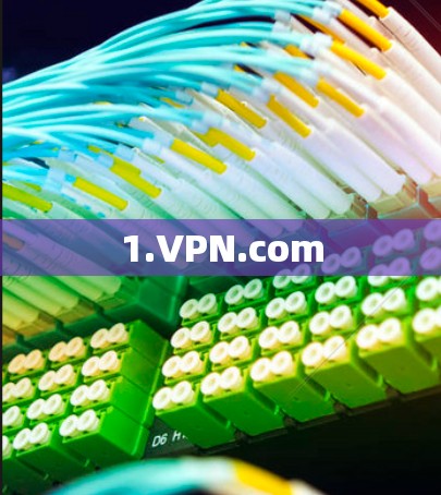 1.VPN.com 1.VPN.com