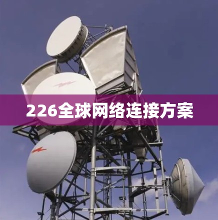 226全球网络连接方案 226全球网络连接方案