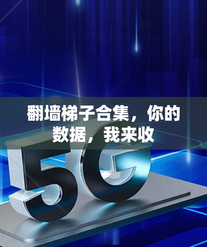 翻墙梯子合集,你的数据,我来收 翻墙梯子合集,你的数据,我来收