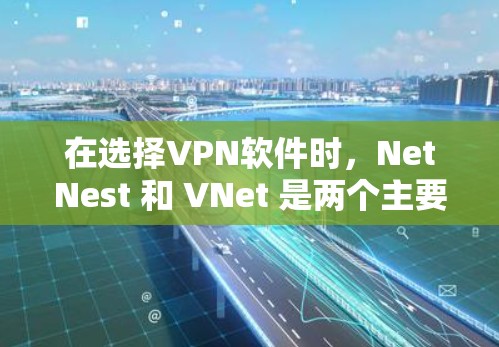 在选择VPN软件时，NetNest 和 VNet 是两个主要的选择，各有其优缺点。以下是对这两种软件的详细介绍和建议