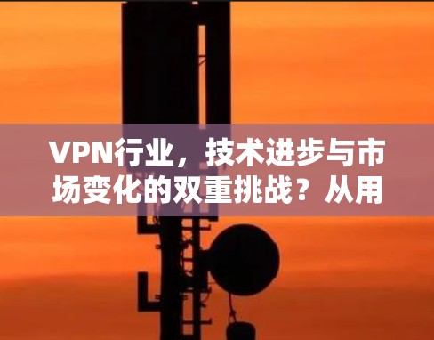 VPN行业,技术进步与市场变化的双重挑战?从用户需求看,如何应对? VPN行业,技术进步与市场变化的双重挑战?从用户需求看,如何应对?