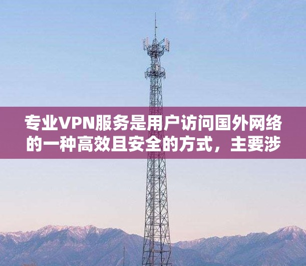 专业VPN服务是用户访问国外网络的一种高效且安全的方式,主要涉及流媒体、视频会议、在线银行等多种用途。以下是关于专业VPN服务的详细分析 专业VPN服务是用户访问国外网络的一种高效且安全的方式,主要涉及流媒体、视频会议、在线银行等多种用途。以下是关于专业VPN服务的详细分析