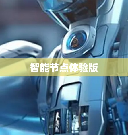 智能节点体验版 智能节点体验版