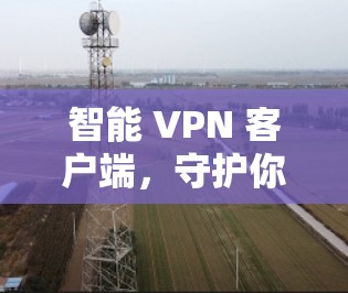 智能 VPN 客户端,守护你的信息安全 智能 VPN 客户端,守护你的信息安全