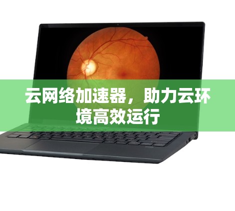 云网络加速器,助力云环境高效运行 云网络加速器,助力云环境高效运行