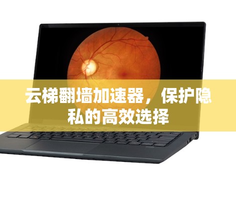 云梯翻墙加速器,保护隐私的高效选择 云梯翻墙加速器,保护隐私的高效选择