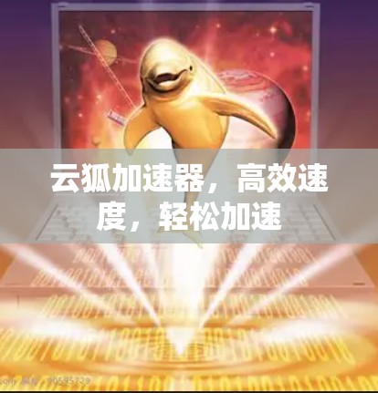 云狐加速器，高效速度，轻松加速