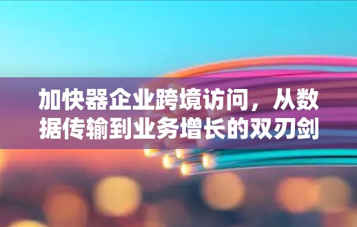 加快器企业跨境访问，从数据传输到业务增长的双刃剑