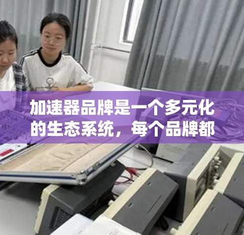 加速器品牌是一个多元化的生态系统，每个品牌都有其独特的特点和适用场景。以下是根据不同的角度总结的加速器品牌分析